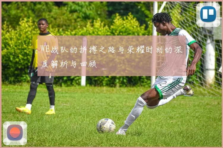 WE战队的拼搏之路与荣耀时刻的深度解析与回顾